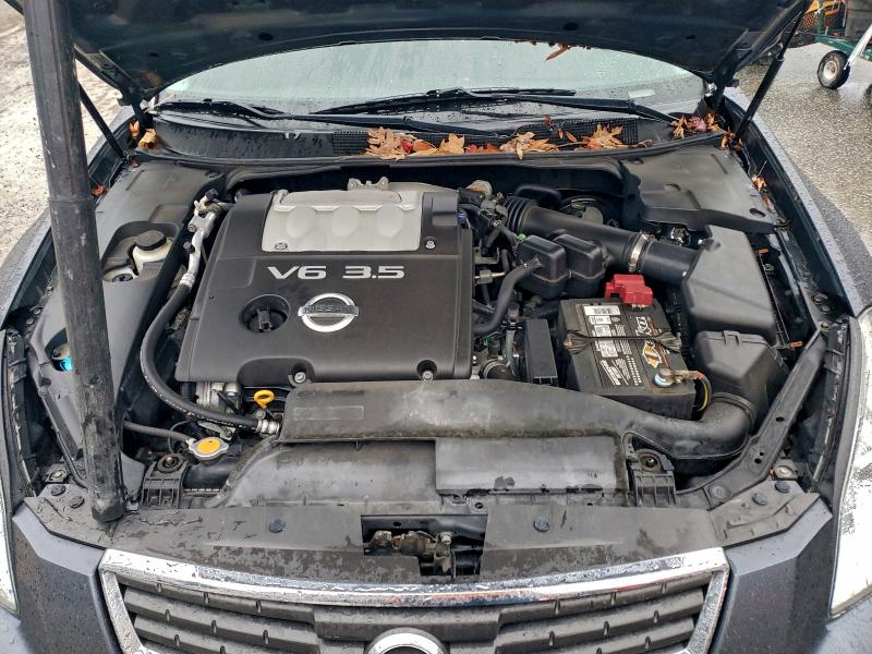 Photo 12 from auction – 2008 NISSAN MAXIMA SE with VIN 1N4BA41E68C813835