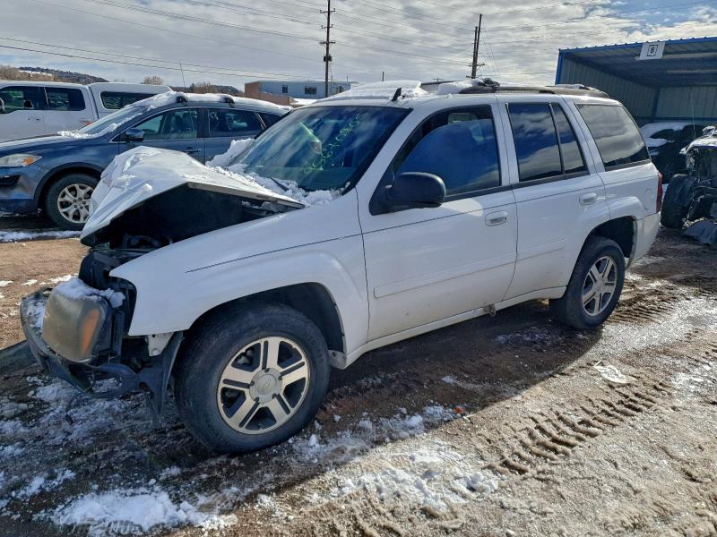 CHEVROLET TRAILBLAZE 2007 with VIN 1GNDT13S772257500 - Photo from auction