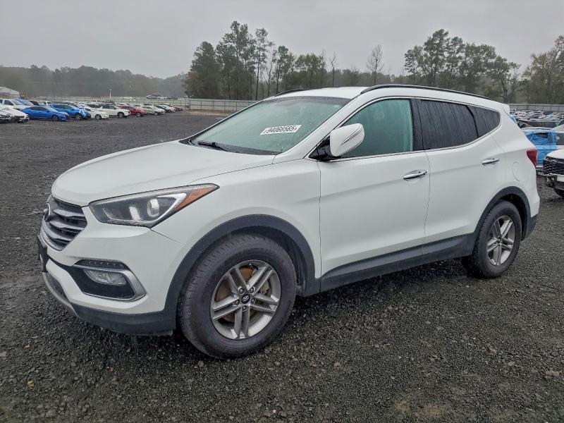 HYUNDAI SANTA FE S 2017 z numerem VIN 5NMZU3LB9HH048151 - Zdjęcie z aukcji