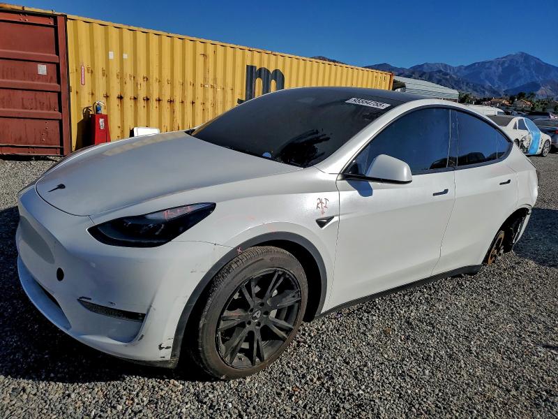 TESLA MODEL Y 2024 with VIN 7SAYGDEE4RA235817 - Photo from auction