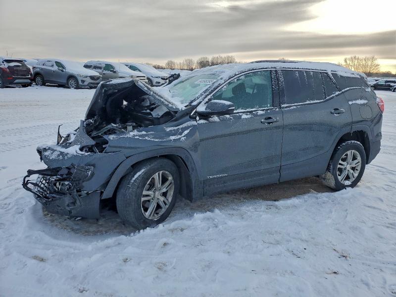 GMC TERRAIN SL 2020 with VIN 3GKALTEV2LL100176 - Photo from auction