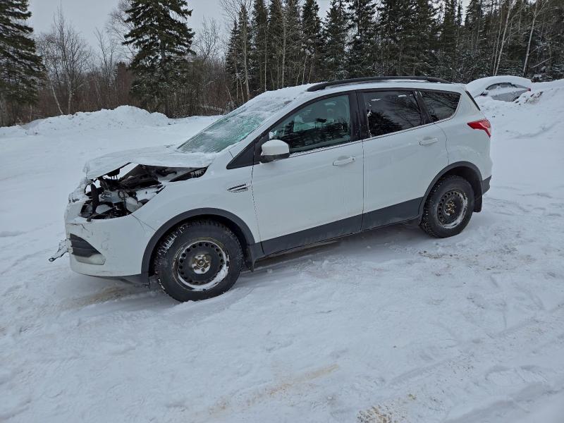 FORD ESCAPE SE 2015 with VIN 1FMCU9G92FUB83196 - Photo from auction
