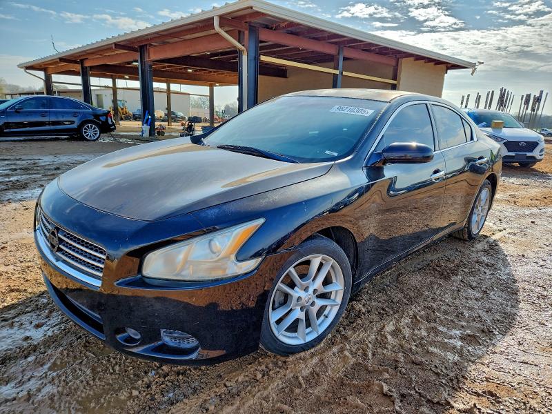 NISSAN MAXIMA S 2010 with VIN 1N4AA5APXAC871567 - Photo from auction