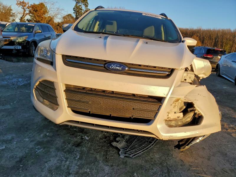Photo 5 from auction – 2014 FORD ESCAPE SE with VIN 1FMCU0GX7EUC90284