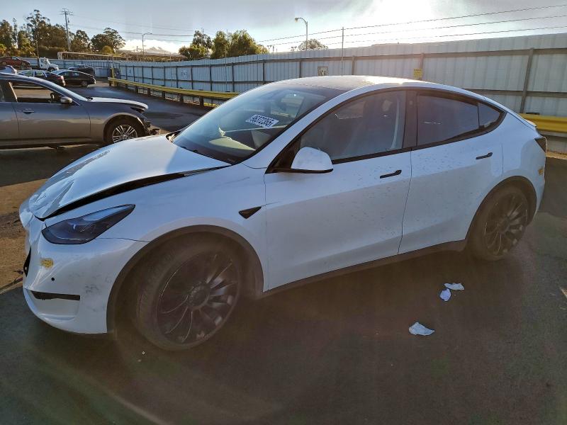TESLA MODEL Y 2022 with VIN 7SAYGDEF6NF491656 - Photo from auction