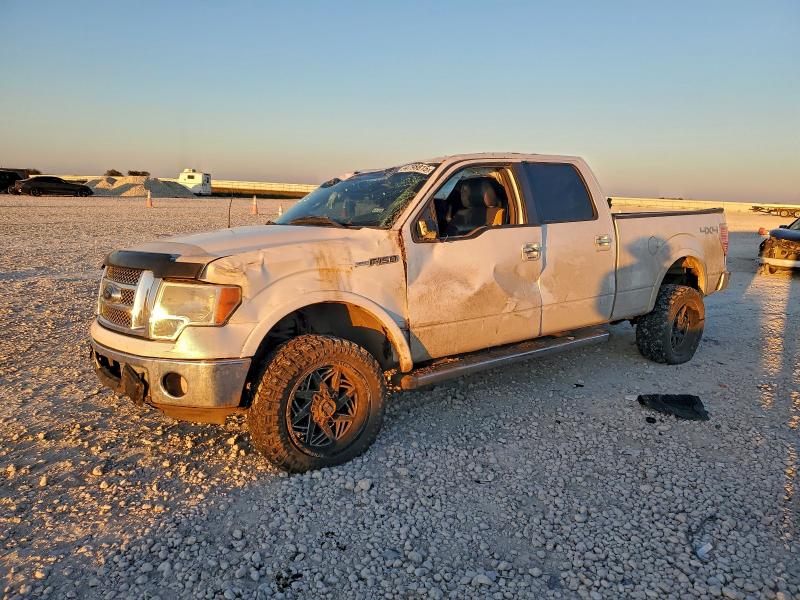 FORD F150 SUPER 2010 with VIN 1FTFW1EV2AFA79768 - Photo from auction
