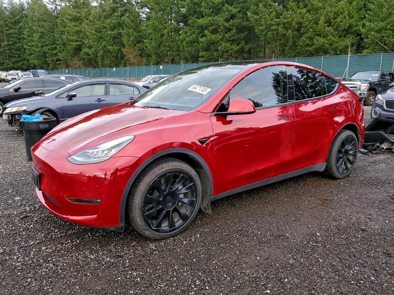 TESLA MODEL Y 2021 with VIN 5YJYGDEE8MF299741 - Photo from auction