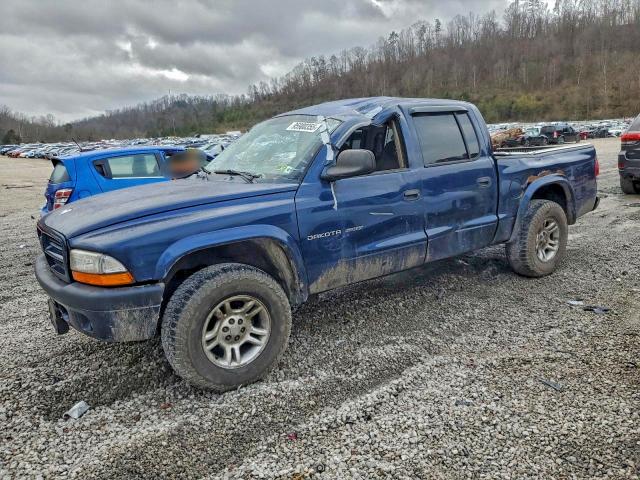 DODGE DAKOTA QUA 2002 with VIN 1B7HG38N92S591940 - Photo from auction