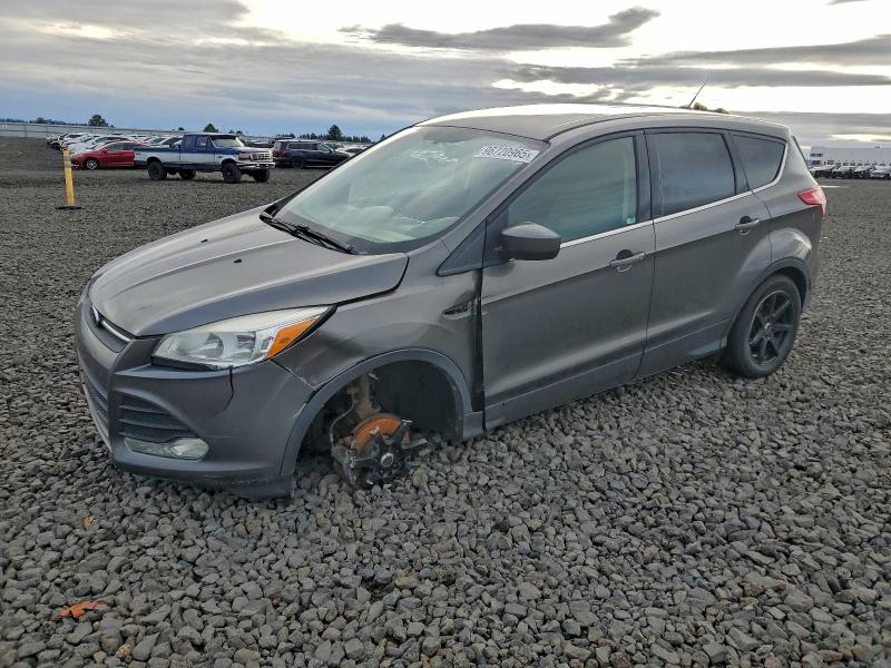 Photo 1 from auction – 2014 FORD ESCAPE SE with VIN 1FMCU0GX1EUB64597