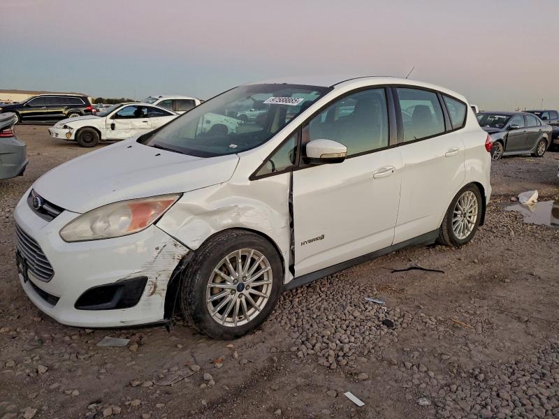 FORD C-MAX SE 2014 with VIN 1FADP5AU2EL505979 - Photo from auction