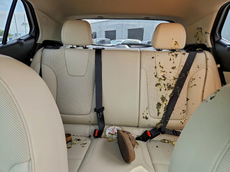 Photo 10 from auction – 2025 BUICK ENCORE GX with VIN KL4AMDSL6SB012226