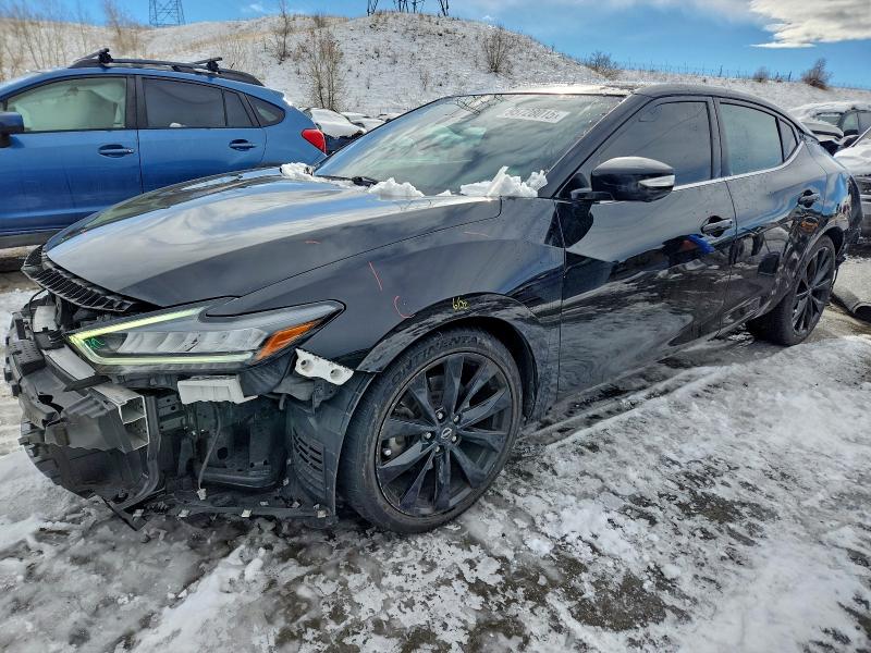 NISSAN MAXIMA SR 2023 with VIN 1N4AA6EV0PC506502 - Photo from auction