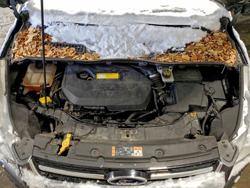 Photo 12 from auction – 2015 FORD ESCAPE TIT with VIN 1FMCU9JX7FUB01096