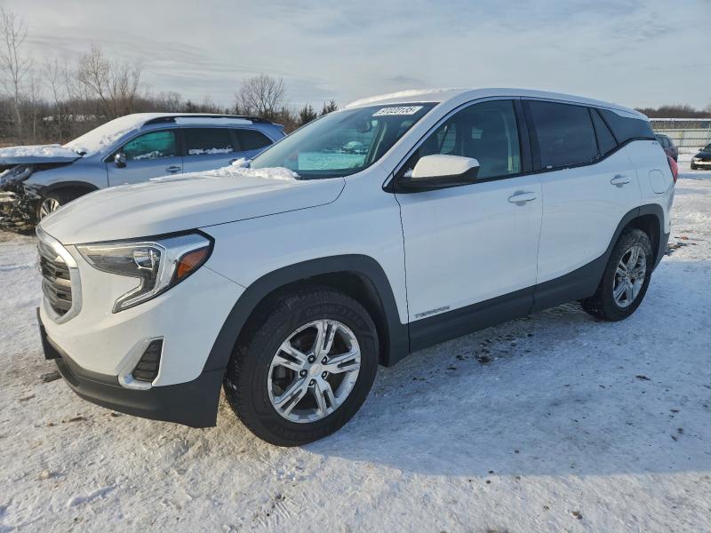 GMC TERRAIN 2019 with VIN 3GKALTEVXKL301564 - Photo from auction