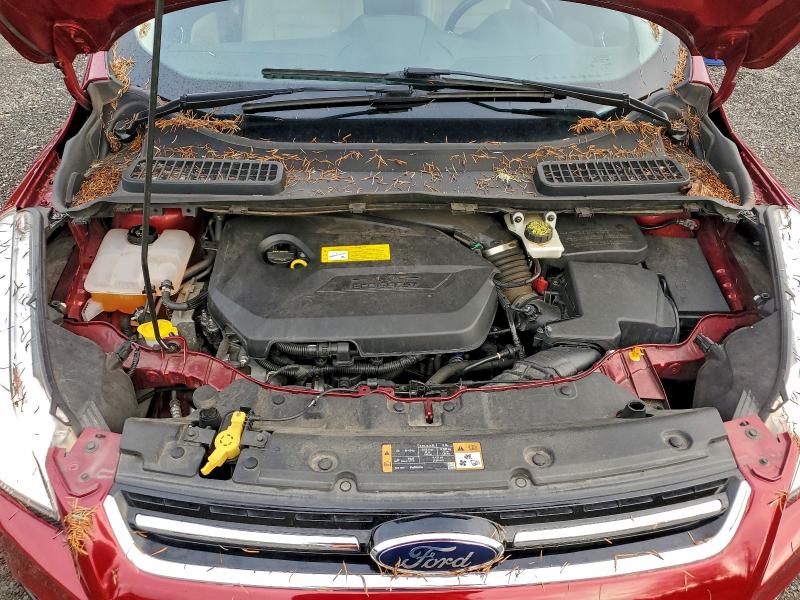 Photo 12 from auction – 2014 FORD ESCAPE TIT with VIN 1FMCU0JX1EUD49452