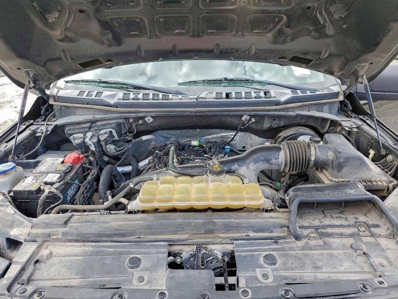 Photo 11 from auction – 2019 FORD F150 SUPER with VIN 1FTEW1CP8KKD24405