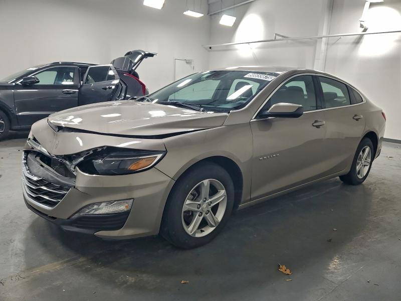 CHEVROLET MALIBU LT 2024 with VIN 1G1ZD5ST2RF232800 - Photo from auction