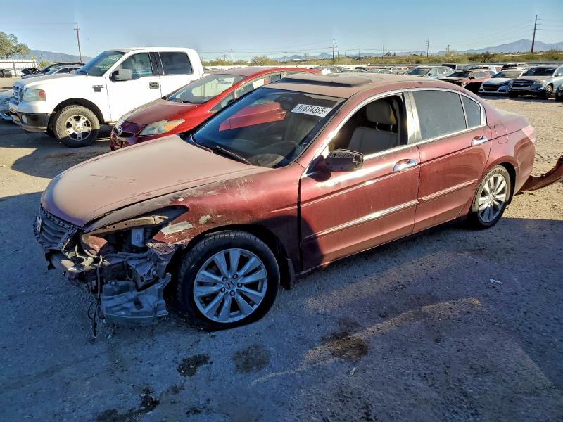 HONDA ACCORD EXL 2011 with VIN 1HGCP3F86BA009095 - Photo from auction