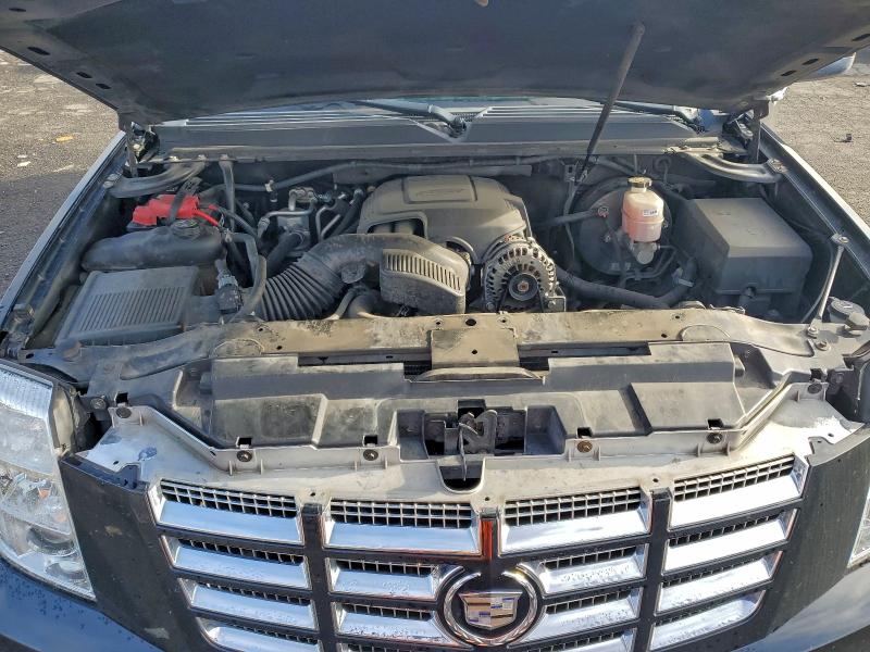 Photo 12 from auction – 2010 CADILLAC ESCALADE P with VIN 1GYUCCEF9AR266695