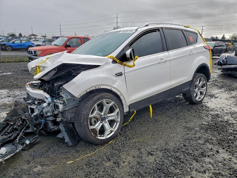 FORD ESCAPE TIT 2019 with VIN 1FMCU9J94KUA35201 - Photo from auction