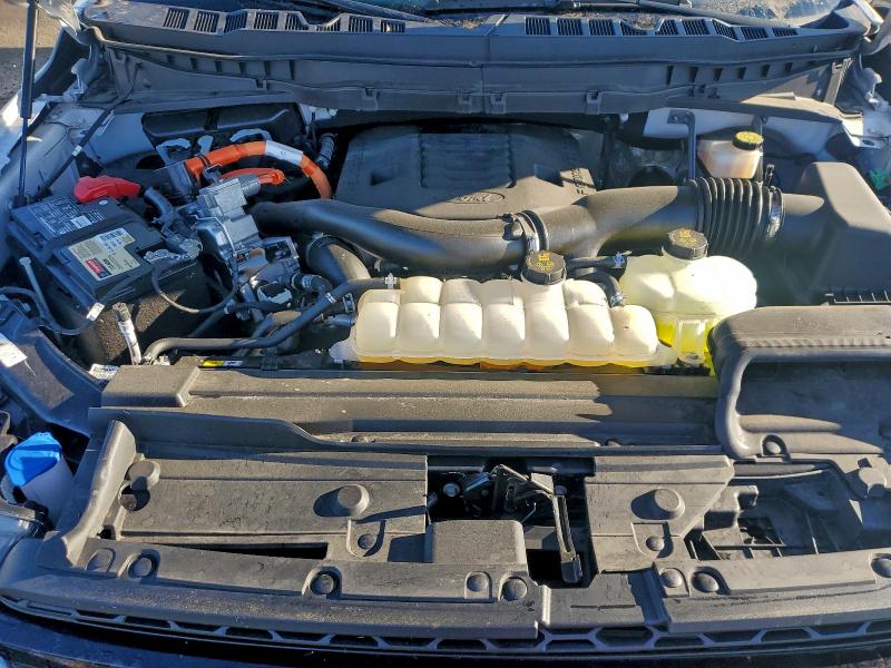 Photo 11 from auction – 2023 FORD F150 SUPER with VIN 1FTFW1ED4PFA11956