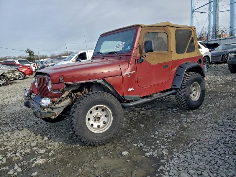 JEEP WRANGLER / 1998 with VIN 1J4FY19S5WP781637 - Photo from auction