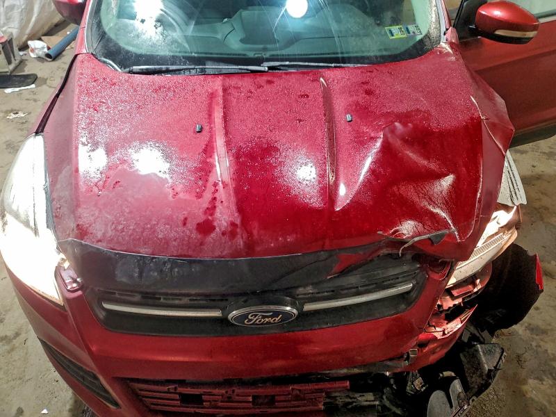 Photo 11 from auction – 2014 FORD ESCAPE SE with VIN 1FMCU9GX6EUA68050
