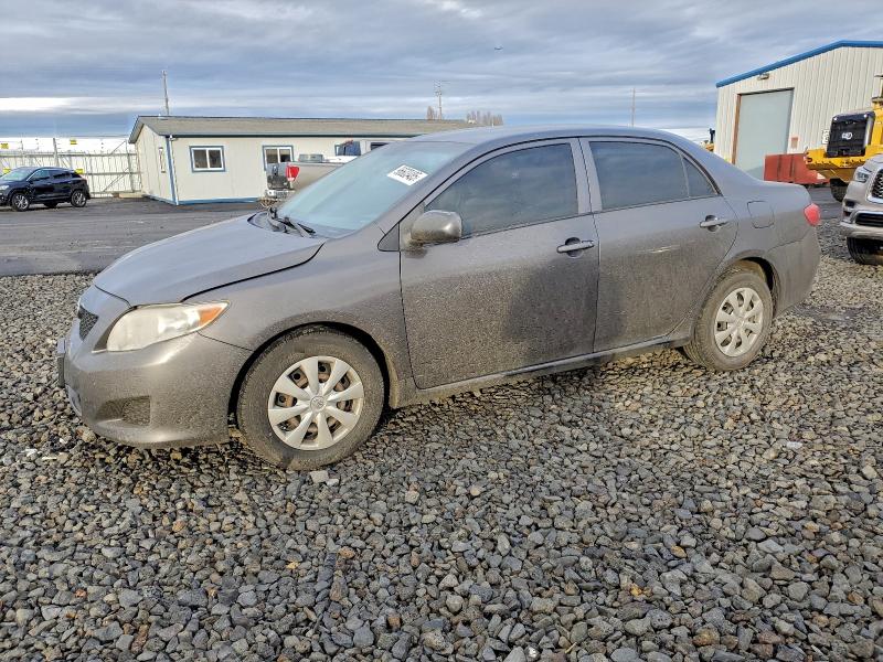 TOYOTA COROLLA BA 2009 with VIN JTDBL40EX9J001294 - Photo from auction