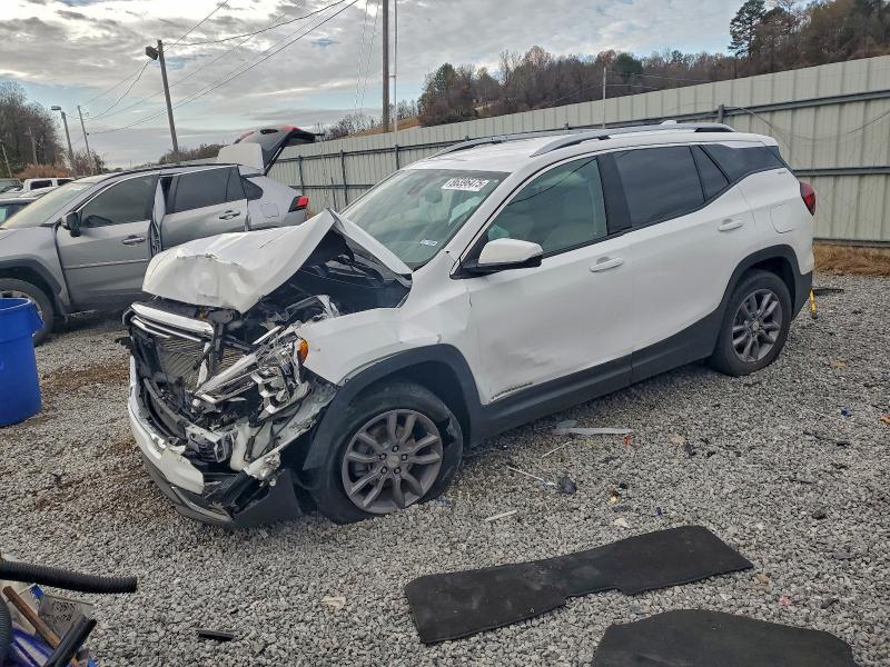 GMC TERRAIN 2024 with VIN 3GKALPEG6RL165825 - Photo from auction