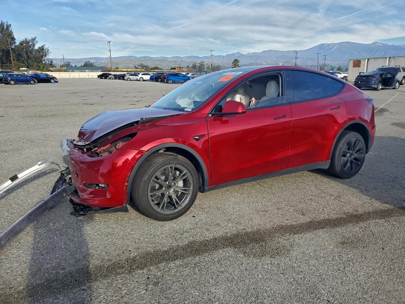 TESLA MODEL Y 2024 with VIN 7SAYGDED1RF164960 - Photo from auction