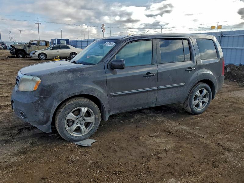 HONDA PILOT EX 2014 with VIN 5FNYF4H5XEB013906 - Photo from auction