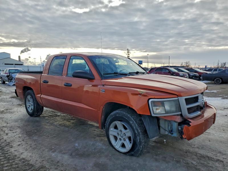 Photo 4 from auction – 2010 DODGE DAKOTA with VIN 1D7CW3GP7AS172229