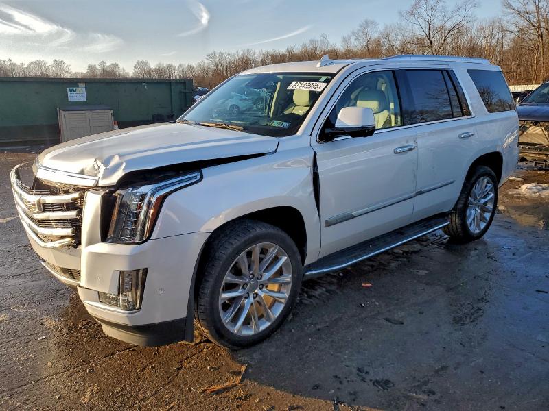CADILLAC ESCALADE P 2020 with VIN 1GYS4CKJ2LR135401 - Photo from auction