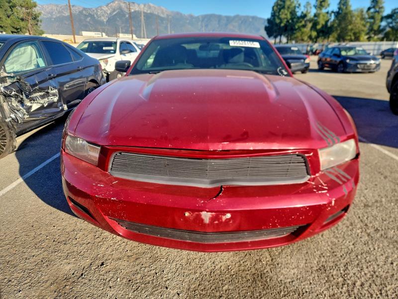 Photo 5 from auction – 2011 FORD MUSTANG with VIN 1ZVBP8AM7B5157614