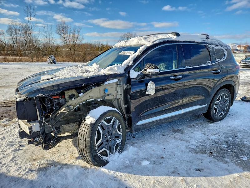 HYUNDAI SANTA FE S 2022 with VIN KM8S3DA19NU030673 - Photo from auction