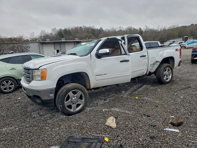 GMC SIERRA 2014 with VIN 1GT120C84EF133235 - Photo from auction