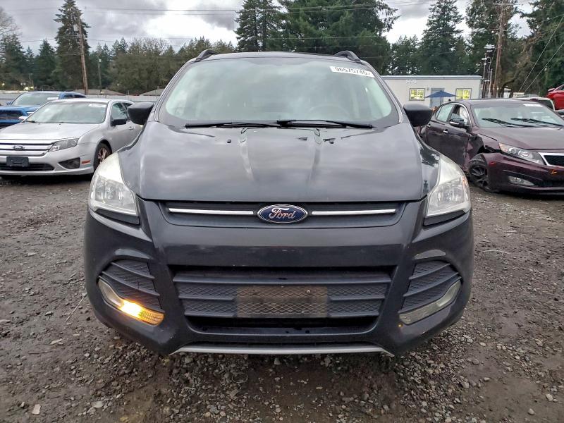 Photo 5 from auction – 2014 FORD ESCAPE SE with VIN 1FMCU0GXXEUA22779