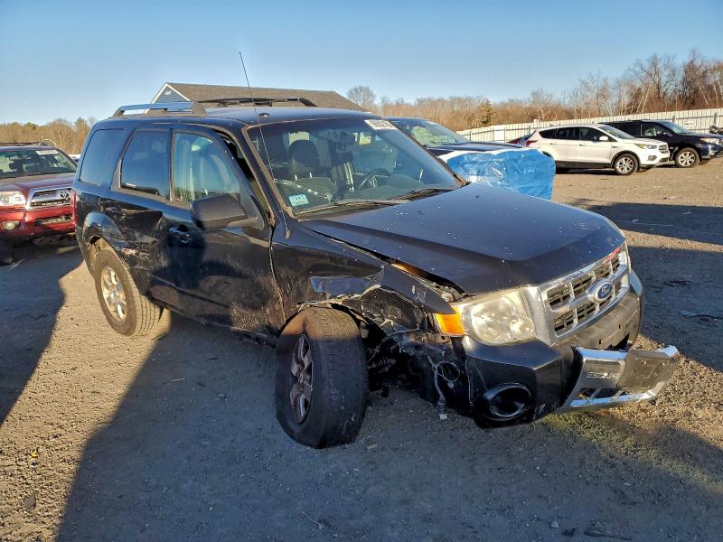 Photo 4 from auction – 2011 FORD ESCAPE LIM with VIN 1FMCU9EG0BKA16696