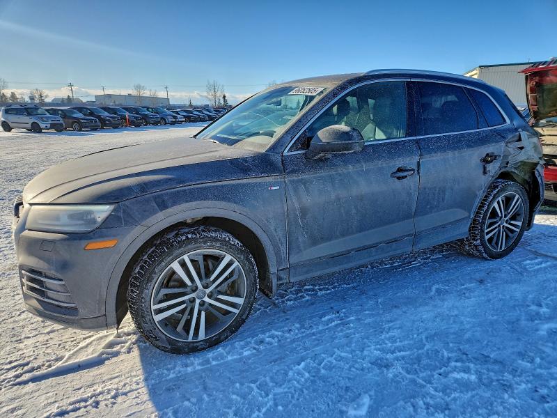 AUDI Q5 PROGRES 2019 with VIN WA1ENAFYXK2020249 - Photo from auction