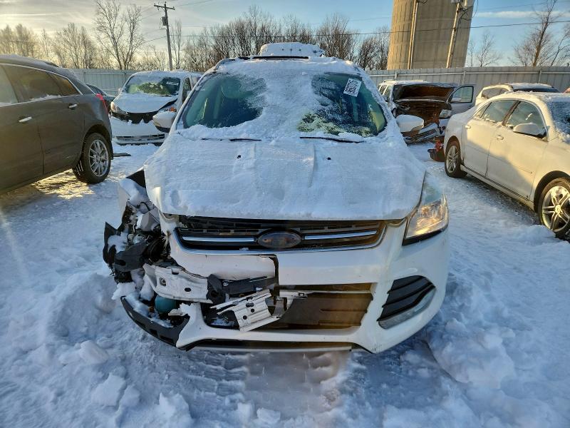 Photo 5 from auction – 2014 FORD ESCAPE TIT with VIN 1FMCU9J96EUD57374