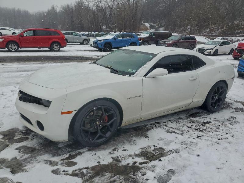 CHEVROLET CAMARO LS 2012 with VIN 2G1FA1E30C9174119 - Photo from auction