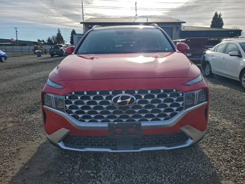 Photo 5 from auction – 2023 HYUNDAI SANTA FE L with VIN 5NMS5DA16PH005044